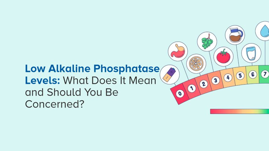 Low Alkaline Phosphatase Levels: What Does It Mean and Should You Be Concerned?
